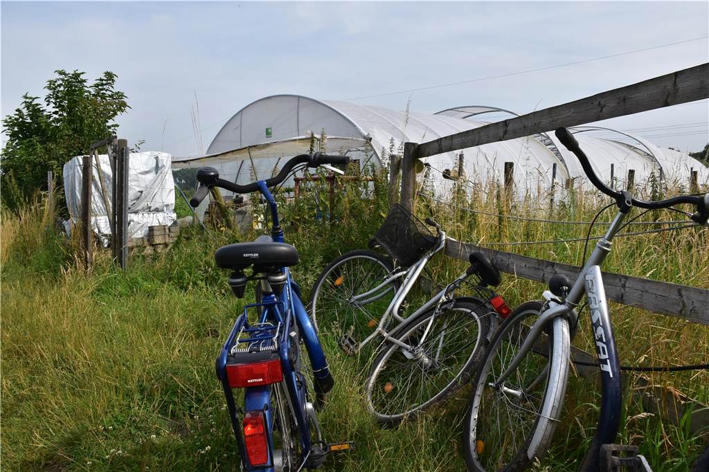 Eindrücke vom Gelände der solidarischen Landwirtschaft in Waltrop.