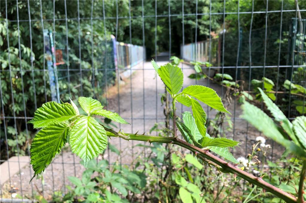 Ein Fahrradweg endet im Nirgendwo.