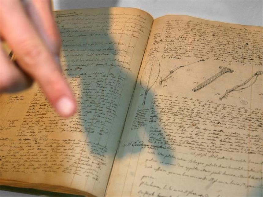 Ein Feldtagebuch der Amerikareise (1799 bis 1804) von Alexander von Humboldt, das sein Reisebegleiter, der Botaniker Aimé Bonpland zusammen mit Humboldt führte. Foto: Stephanie Pilick