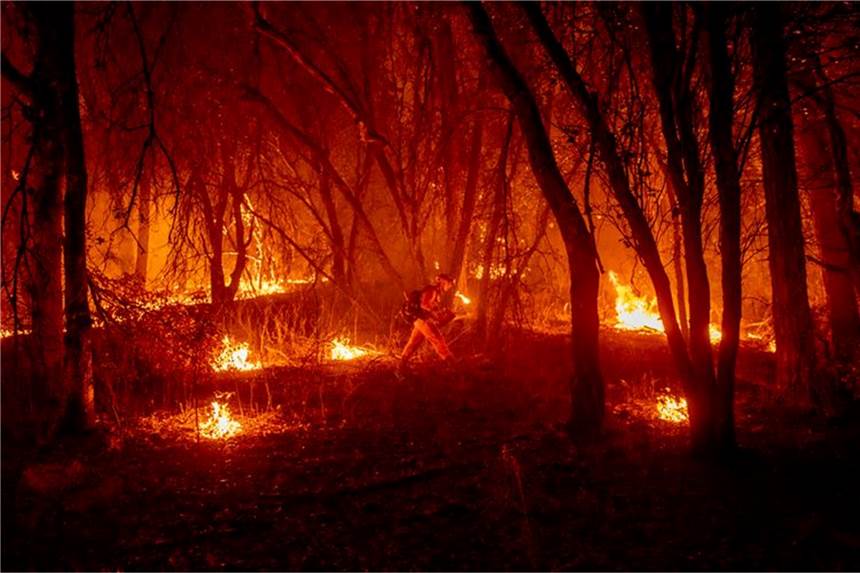Hitze & Co.: Mehr Extremwetter im Leben junger Generation Ein Feuerwehrmann versucht, ein Feuer einzudämmen.