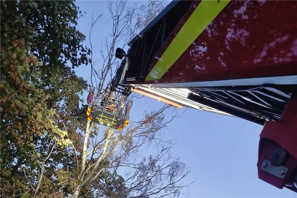 Baum lag quer auf Straße und riss Telefonleitung ab Ein Feuerwehrmann war in luftigen Höhen unterwegs, um Äste aus einem Baum zu sägen.