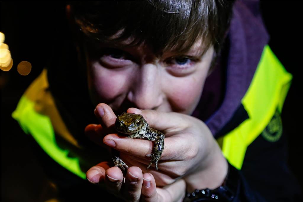 Ein Foto aus den vergangenen Jahren: Ein Junge hält eine Erdkröte in der Hand.
