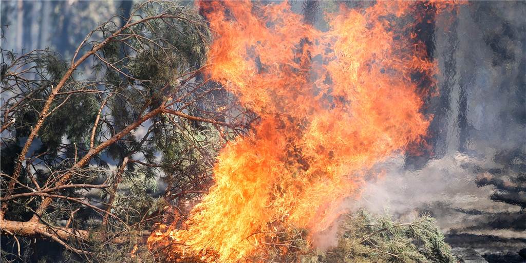 Waldbrandgefahr: Feuerwehren Marl, Dorsten und Haltern arbeiten zusammen Ein Funke reicht: Während des trockenen Sommers herrscht akute Wald- und Flächenbrandgefahr.