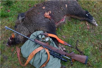 Ein geschossenes Wildschwein liegt neben einem Gewehr und einem Rucksack. Foto: Patrick Pleul/Archiv