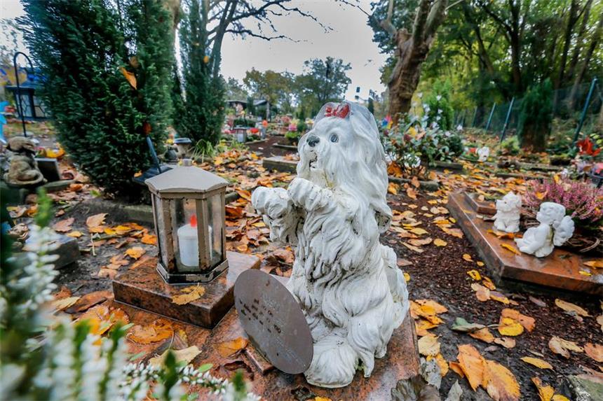 Eine richtige Bestattung und ein richtiges Grab Ein Grab auf dem Tierfriedhof in Kley. Pro Monat finden dort rund zehn Bestattungen statt. Viele der Gräber sind liebevoll gestaltet mit Figuren, Lampen und Gestecken. Religiöse Elemente sind nicht erlaubt.