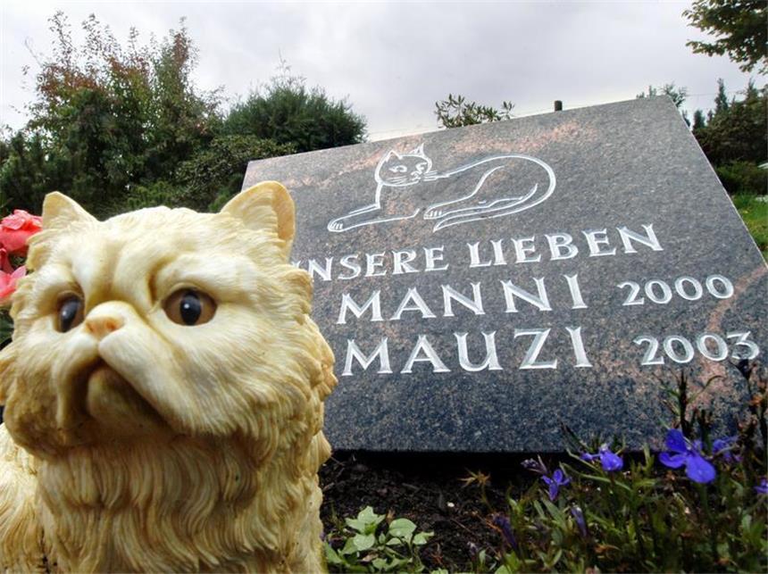 Geliebte Haustiere werden immer öfter bestattet Ein Grabstein für die Katzen: Immer mehr Halter lassen ihre Haustiere bestatten. (Bild: dpa)