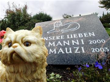 Ein Grabstein für die Katzen: Immer mehr Halter lassen ihre Haustiere bestatten. (Bild: dpa)
