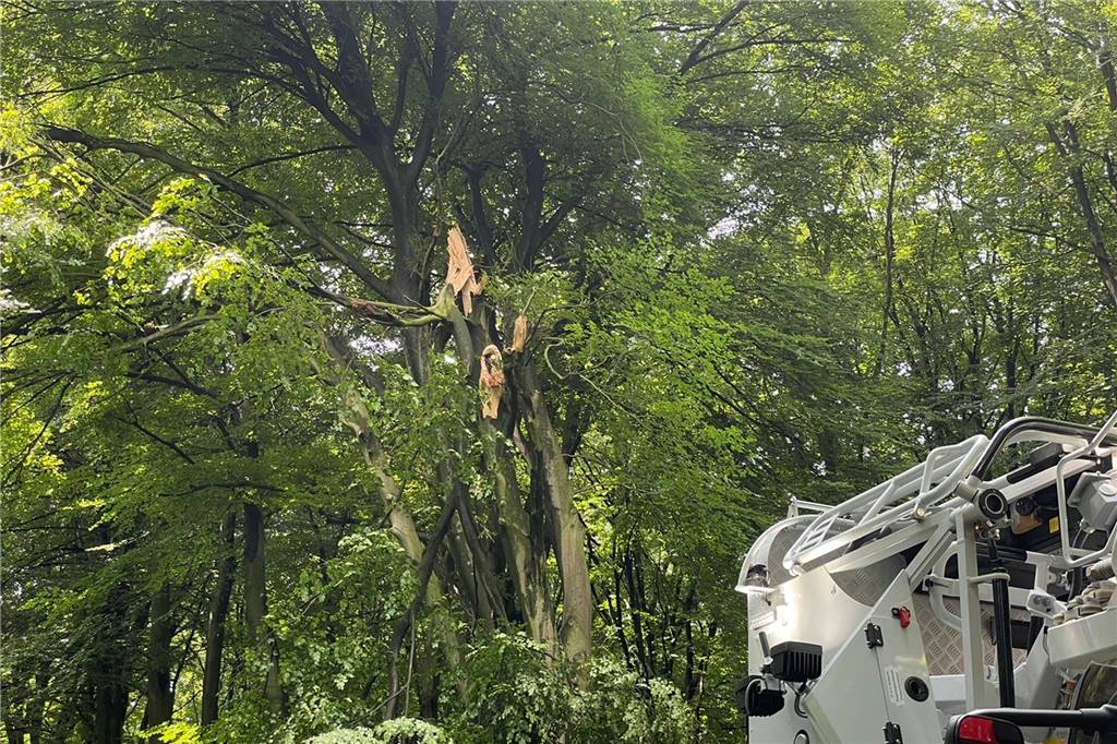 Unwetterwarnung: Äste krachen auf Rekener Straße - Straße war gesperrt Ein großer Ast droht noch auf die Straße zu fallen.