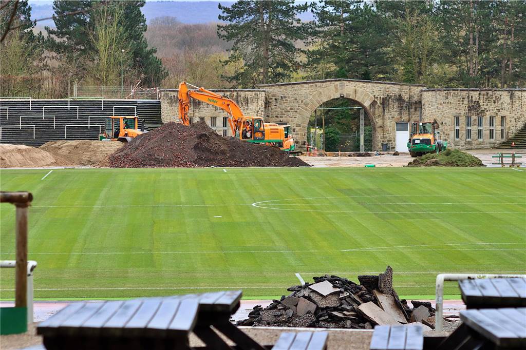 BVB-U23 kehrt gegen Halle in die Rote Erde zurück: „Spielen endlich da, wo wir zu Hause sind“ Der Rasen im Stadion Rote Erde.