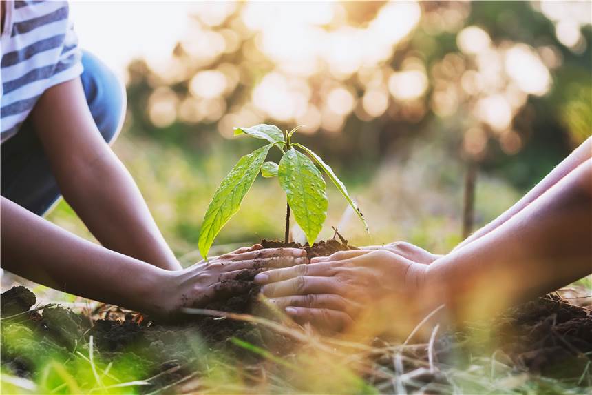 Grüne Vorsätze für 2022 Ein guter Vorsatz für das neue Jahr: Den eigenen Garten grün und umweltfreundlich gestalten.