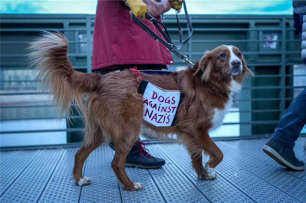 Dogs against Nazis