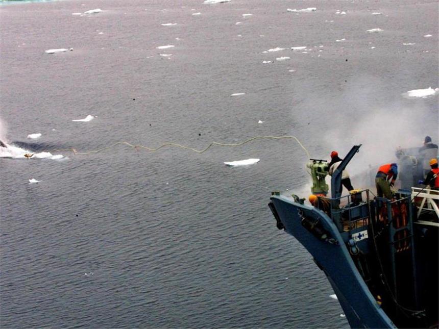 Ministerin fordert Schutzzone für Wale im Südatlantik Ein japanischer Walfänger beim Abfeuern einer Harpune. Foto: Greenpeace/Jeremy Sutton-Hibbert/Archiv