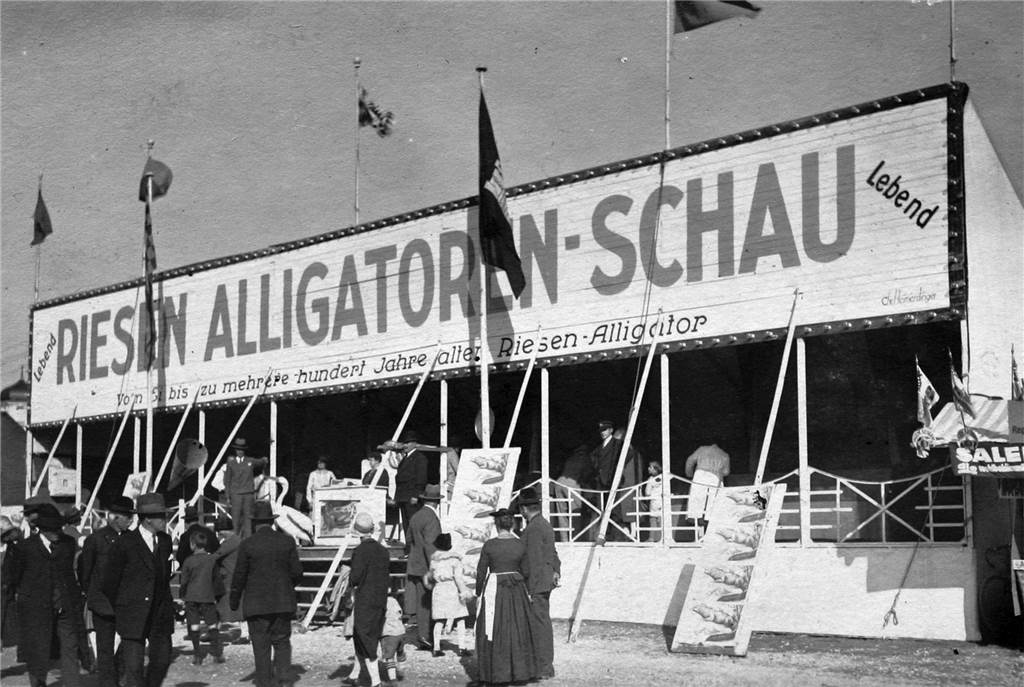 Simjü-Kirmes und ihre Kuriositäten: Reptil an der Horne, exklusive Fahrt und echte Originale Ein Krokodil an der Horne - das war die wohl die außergewöhnlichste Geschichte rund um Simjü. Immer mal wieder waren Alligatorenschauen in Werne zu bestaunen, wie hier Malfertheiners Alligatorenschau. Das Bild ist Ende der 20er-Jahre oder Anfang der 30er-Jahre entstanden.