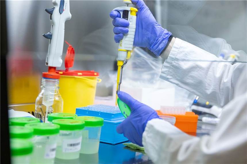 Labore kommen an ihre Grenzen – PCR-Tests sparsam verwenden Ein Labormitarbeiterin beim IT-Dienstleister Datev eG analysiert in einem Labor Gurgeltests aus einer Schule. (Archivbild)