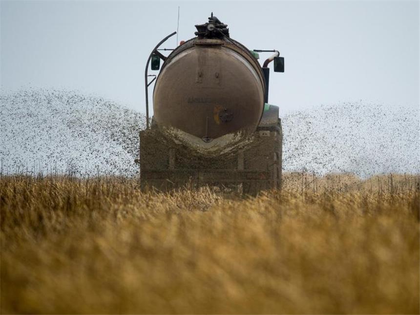 Nitratbelastung des Grundwassers nimmt weiter zu Ein Landwirt bringt Gülle aus. Dadurch steigt die Nitratbelastung im Grundwasser. Foto: Patrick Pleul