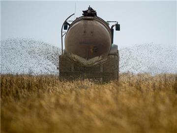 Ein Landwirt bringt Gülle aus. Dadurch steigt die Nitratbelastung im Grundwasser. Foto: Patrick Pleul