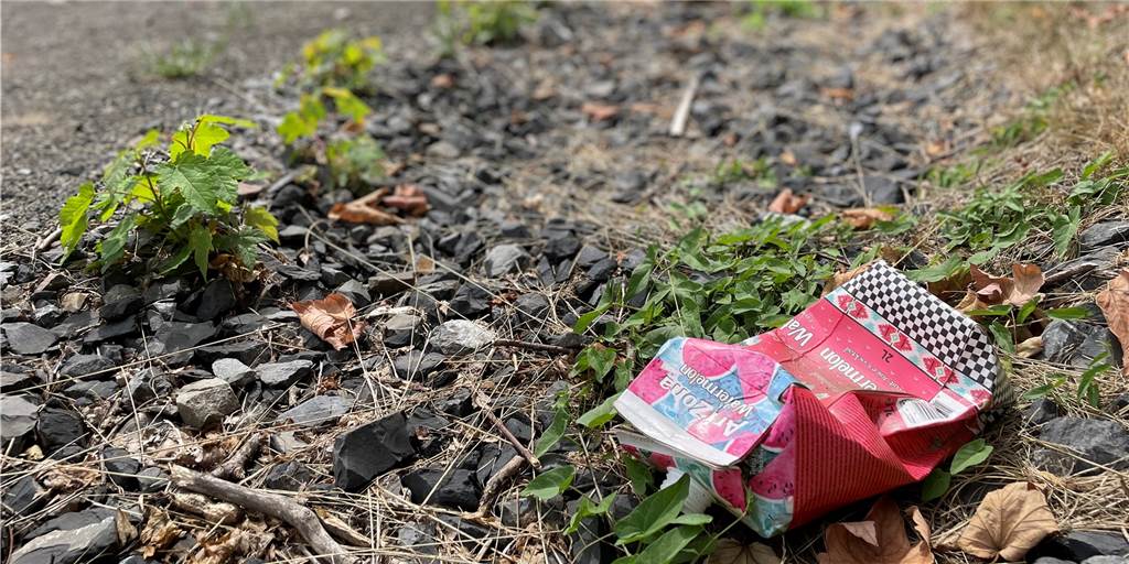 Ein leeres Tetrapak am Ufer des Rhein-Herne-Kanals. Kann man das nicht vernünftig entsorgen?