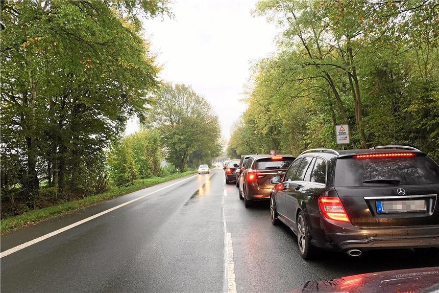 Ein Leser fotografierte den Stau vor der Ampel.privat