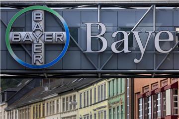 Ein Logo hängt in Wuppertal (NRW) vor dem Werk des Bayer Konzerns. Foto: Oliver Berg/Archiv