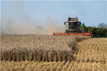 Ein Mähdrescher erntet ein Weizenfeld bei Garching. Dem Bauernverband zufolge zeichnen sich schon jetzt in Teilen des Landes große Ernteausfälle ab. Foto: Lino Mirgeler