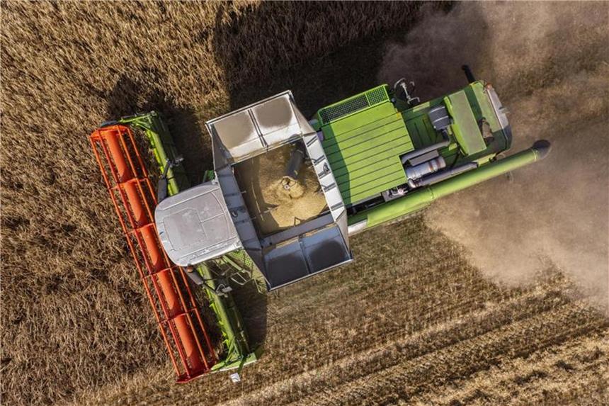 Ein Mähdrescher erntet Wintergerste auf einem Feld im Landkreis Oder-Spree. Foto: Patrick Pleul