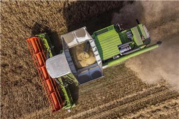 Ein Mähdrescher erntet Wintergerste auf einem Feld im Landkreis Oder-Spree. Foto: Patrick Pleul