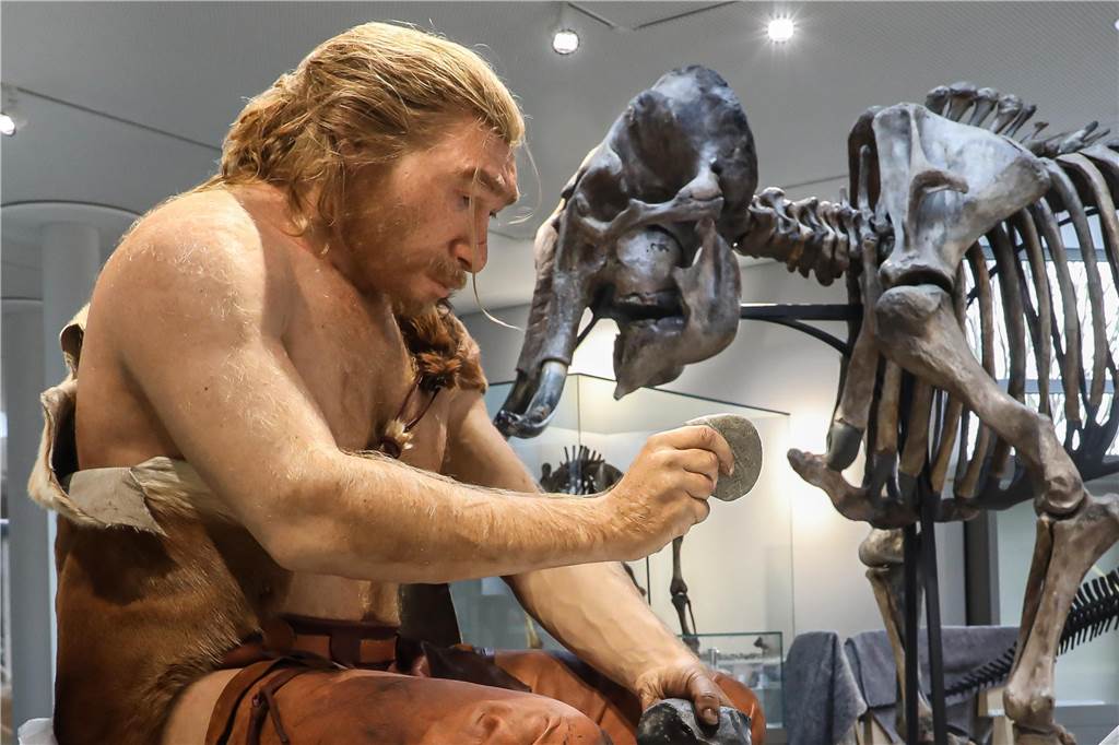 Corona-Krise: Große Wiedereröffnung des Naturmuseums geplatzt Ein Mammutskelett und lebensecht wirkende Neandertaler sind neue „Stars“ im Naturmuseum Dortmund.