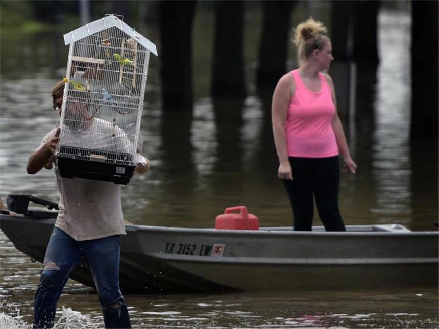 Hochwasser in Texas: Furcht vor Bakterien und Chemikalien Ein Mann rettet in Houston seinen Vogel aus seiner überfluteten Wohnung. Foto: Carol Guzy