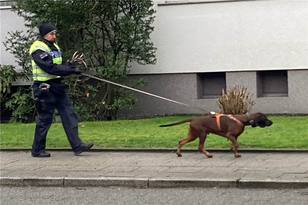 Polizei-Großeinsatz mit Hubschrauber: Hinweise auf Bluttat – Täter flüchtig – Videos und Fotos