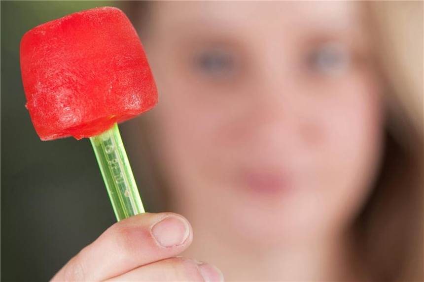 Eis, Sorbet, Grütze: Leichte Desserts zum Selbermachen Ein Melonensorbet am Stiel, für das einfach nur das Fruchtfleisch püriert und eingefroren wird. Foto: Klaus-Dietmar Gabbert