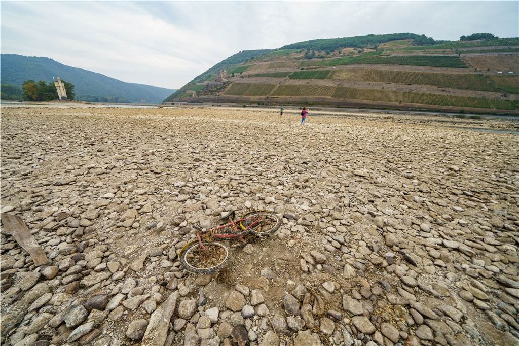 Wenn die Heimat vertrocknet: Kampf ums Wasser in Deutschland Ein mit vertrockneten Muscheln und Algen bedecktes Kinderfahrrad liegt auf dem Gestein des weitgehend ausgetrockneten Flussbetts des Rheins.