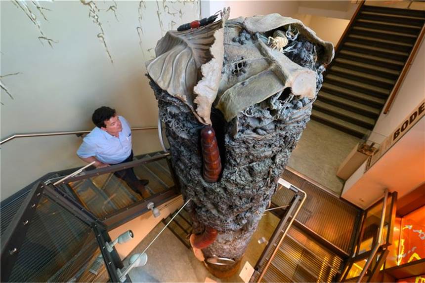 Bodentiere im Klimawandel: Abtauchen, ausharren, ausbreiten Ein Mitarbeiter betrachtet im Senckenberg Museum für Naturkunde eine Bodensäule.