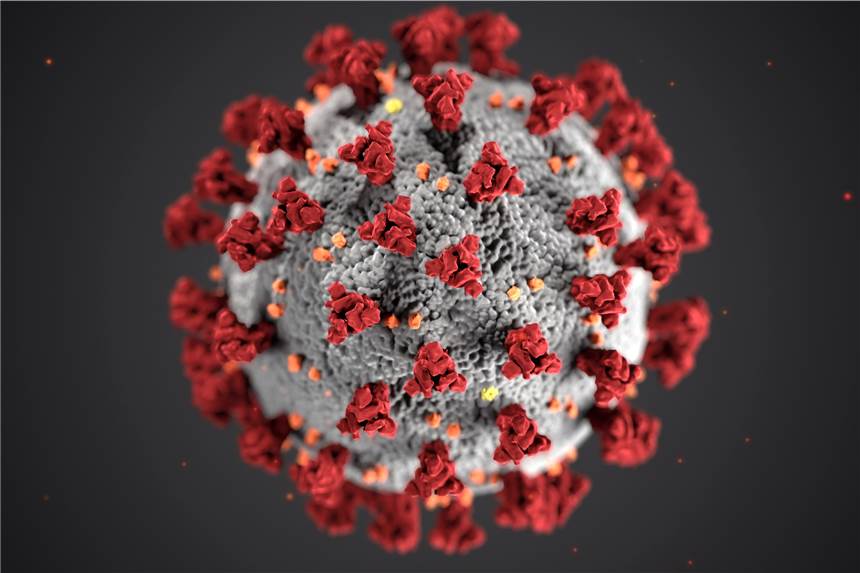 Sechs neue Corona-Tote – Castrop-Rauxeler Corona-Inzidenz gesunken Ein Modell des neuartigen Coronavirus Sars-CoV-2.
