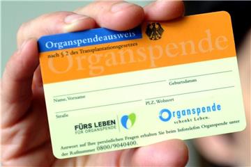 Ein Organspendeausweis ist zu sehen. Foto: Caroline Seidel/Archiv