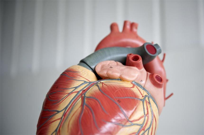 Schrittmacher-Hersteller warnt Herzpatienten Ein Patient mit einem fehlerhaften Defibrillator muss nach den neuesten Warnungen nicht zwingend in den OP.