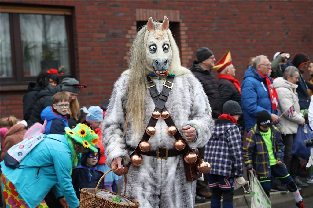 Ein Pferd mit Christbaumkugeln hat sich nach Olfen verirrt.