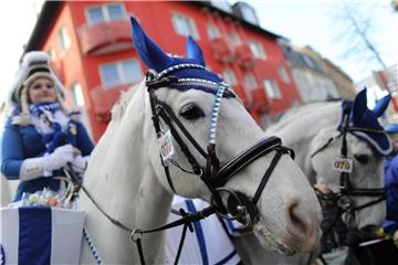 Ein Pferd nimmt am Rosenmontagszug teil. Foto: Rolf Vennenbernd
