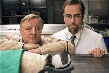 Ein Pinguin in der Rechtsmedizin bei Kommissar Frank Thiel (Axel Prahl, l) und Prof. Boerne (Jan Josef Liefers) in Münster. Foto: Thomas Kost/WDR/ARD