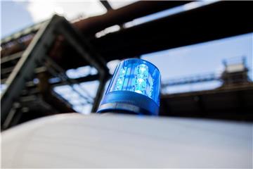 Ein Polizeifahrzeug mit Blaulicht auf dem Dach. Foto: Rolf Vennenbernd/Archiv