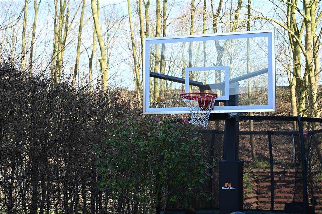 LippeBaskets bejubeln 300 Mitglieder: Zu Besuch bei Familie Janicki Basketballkorb im Garten