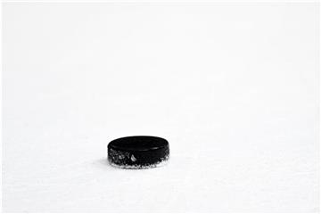 Ein Puck liegt auf dem Eis. Foto: Tobias Hase/dpa