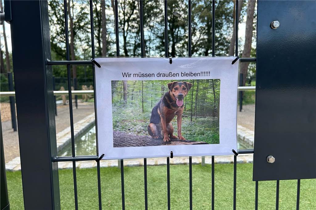 Besucher lassen Hunde ins Tretbecken: Stiftung testet Wasserqualität Ein Schild weist alle Besucher des Tretbeckens mit Nachdruck daraufhin, dass Hunde im Tretbecken nicht erlaubt sind.