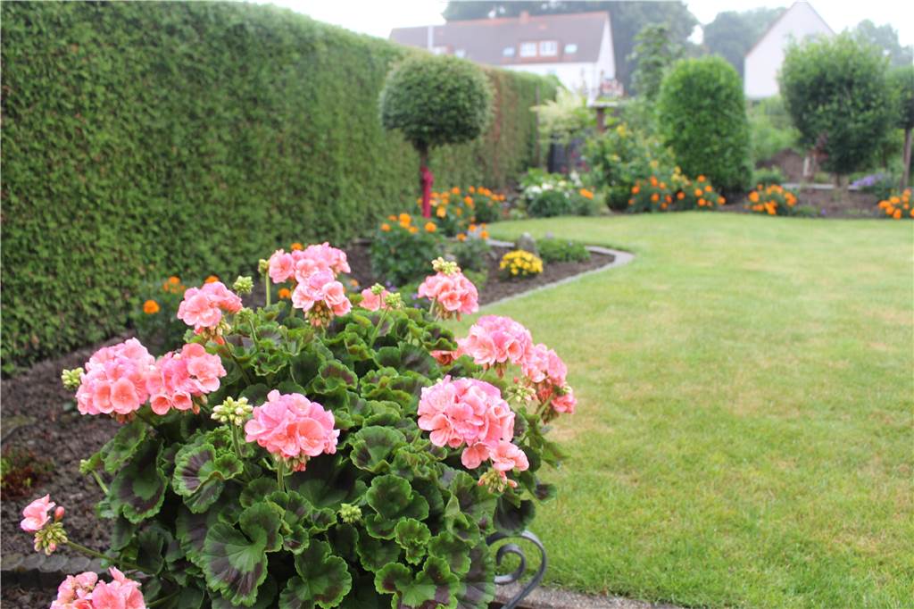 Ein traumhaftes Garten-Idyll – doch im Boden lauern ungebetene Gäste Ein so ordentlicher Garten erfordert viel Hingabe und Arbeit.