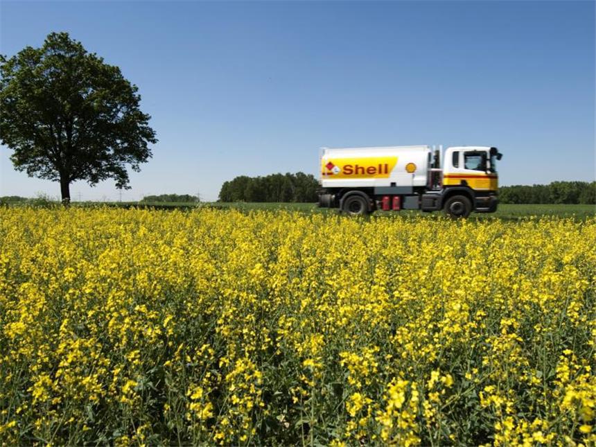 EU begrenzt Biosprit aus Nahrungspflanzen Ein Tankwagen fährt an einem blühenden Rapsfeld nahe dem brandenburgischen Hönow entlang. Foto: Robert Schlesinger/Illustration