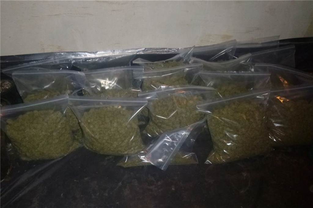 Drogenplantage in Wüllen: Ist Niederländer Drahtzieher oder Handlanger? Ein Teil der Drogen war beim Zugriff der Kripo bereits in verschweißte Folienbeutel verpackt und zum Abtransport bereit.