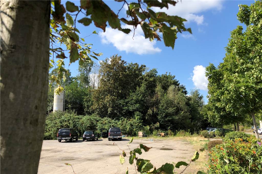 Abgeholzte Bäume und riesiger Parkplatz: Naturschützer kritisieren Wilo Ein Teil der umstrittenen Waldfläche bleibt als sogenannte Biotopvernetzung stehen.