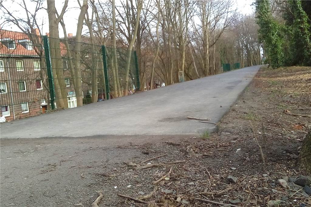 Bananenradweg: Entscheidung über Weiterbau fällt am Mittwoch Ein Teil des Weges ist asphaltiert, ein Teil nicht.
