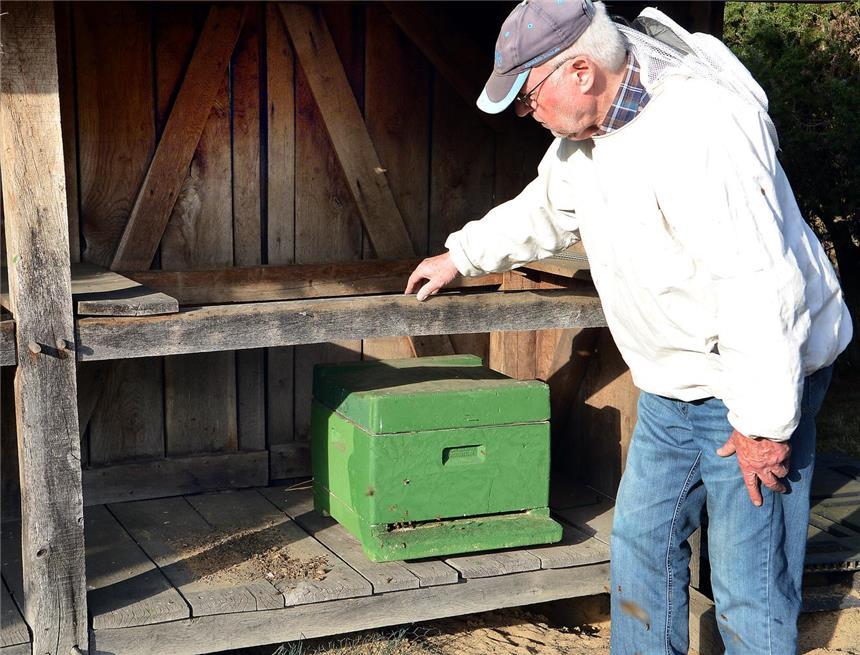 Diebe stehlen Halterner Imker 40.000 Bienen Ein Volk mit 40 000 Bienen ist Udo Pfingst aus dem Heidestand in der Westruper Heide gestohlen worden.