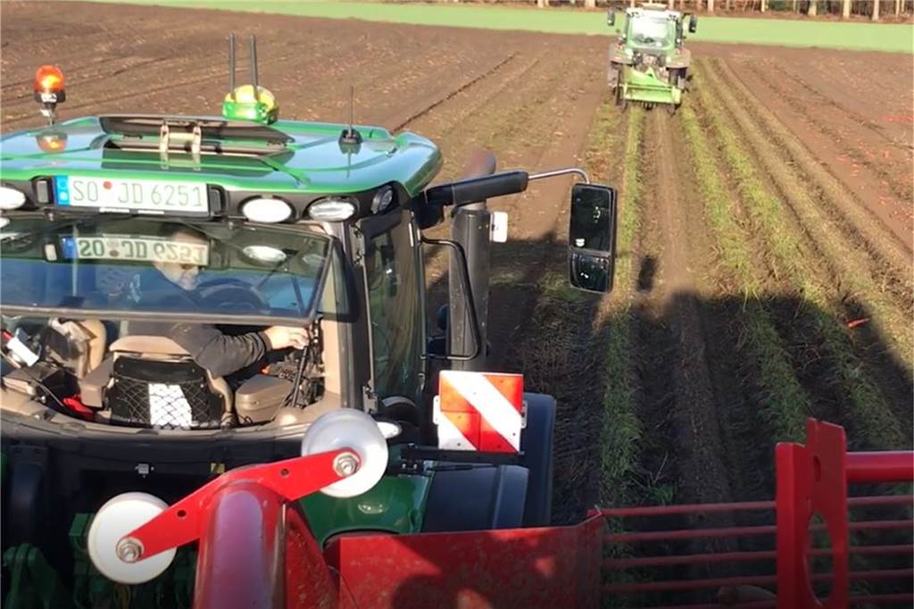 Mit Video: Möhren-Spezialist bringt Karotten aus Sythen in die Supermärkte Ein vorausfahrender Traktor befreit die Wälle, in denen die Karotten wachsen, von Laub.