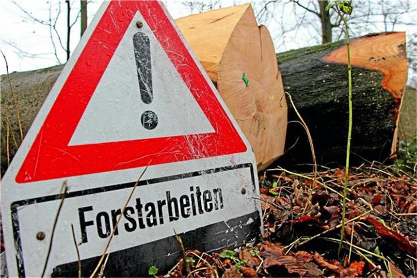 Mehr als einhundert Bäume fallen in einer einzigen Woche Ein Warnschild weist auf die Baumfällung hin.
